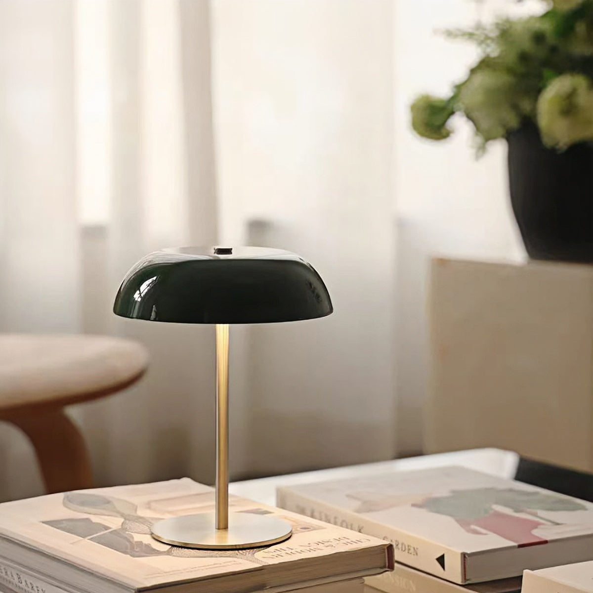 Lit green dome lamp on a stack of books near a potted plant