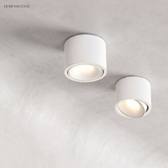 Round adjustable LED spotlight in a styled interior