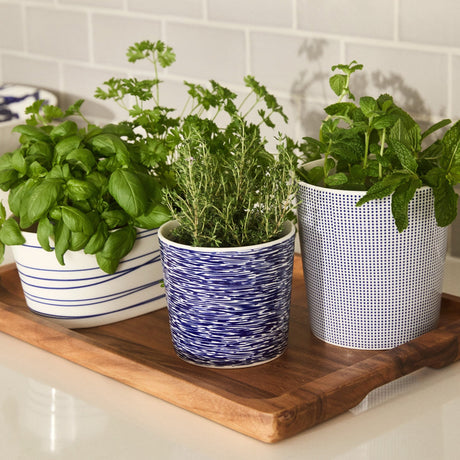 Royal Doulton 1815 Pacific Porcelain Small Planter Blue Waves