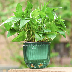 Self Watering Hanging Flower Pots - Indoor Planter with Automated Hydration System - Indoor Hanging Planter - Hurbane Home