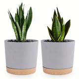 Self Watering Planter – 2 - Pack Round Plastic Pots with Removable Base - Hurbane Home