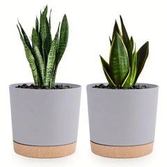 Self Watering Planter – 2 - Pack Round Plastic Pots with Removable Base - Hurbane Home