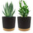 Self Watering Planter – 2 - Pack Round Plastic Pots with Removable Base - Hurbane Home