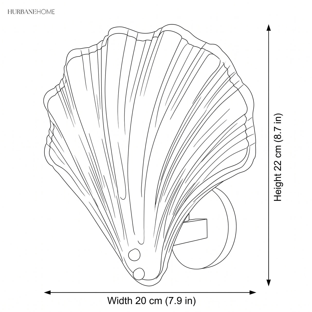 Line drawing of the shell wall sconce measuring 20 cm wide by 22 cm high