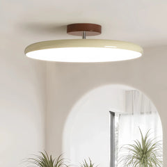 Lola Adjustable Circular Ceiling Lamp Nordic Modern Acrylic Shade
