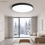 Black flush mount ceiling light in a living room with a snowy outlook