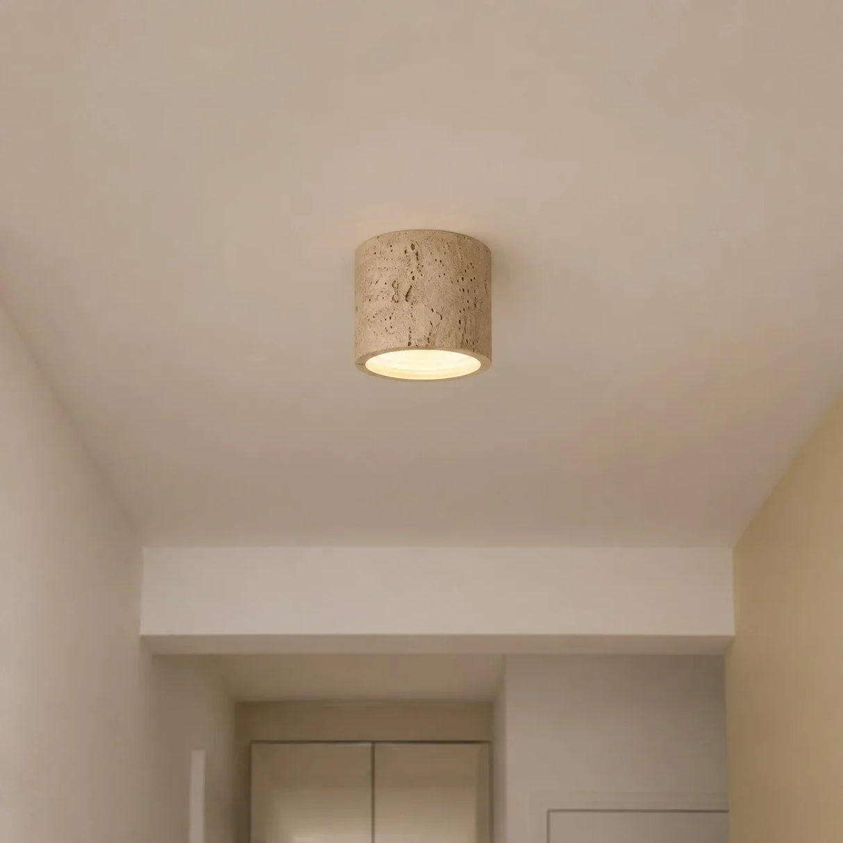 Small flush mount cylinder ceiling light viewed against a plain background