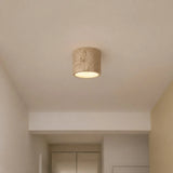 Small flush mount cylinder ceiling light viewed against a plain background
