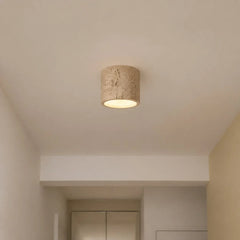 Small flush mount cylinder ceiling light viewed against a plain background