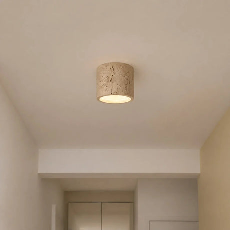 Small flush mount cylinder ceiling light viewed against a plain background
