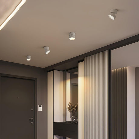 Spot lights on an entrance hall ceiling above a door and a tall mirror