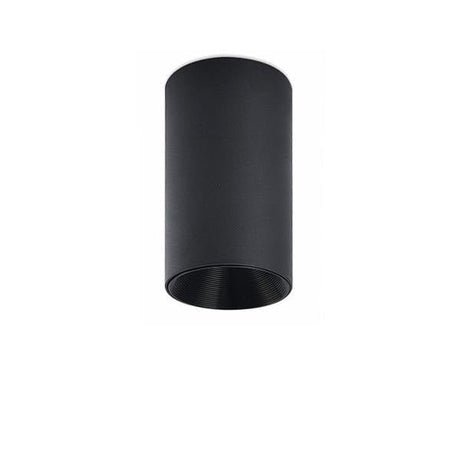 Black cylinder ceiling light with a black inner reflector