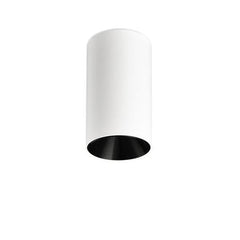 White cylinder ceiling light with a black inner reflector
