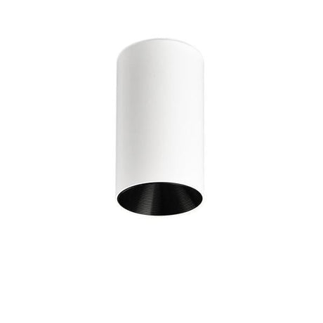 White cylinder ceiling light with a black inner reflector