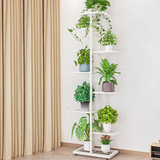 Tall black stand displaying cascading plants on balcony – multi tier plant stand