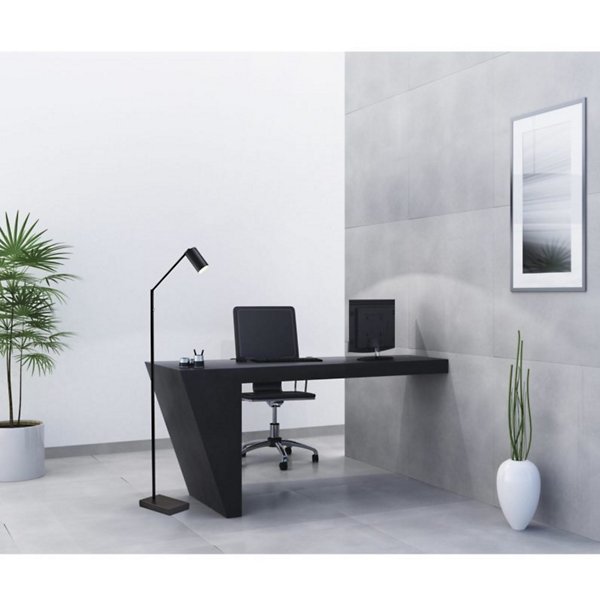 tall standing lamp beside armchair