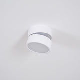 White spot light mounted flat with the head turned slightly to one side
