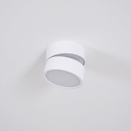 White spot light mounted flat with the head turned slightly to one side