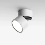 White spot light with a grey trim ring and the head tilted down on a plain field