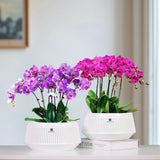 White plastic plant stand supporting orchid root airflow