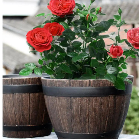 Wine barrel flower planter used for indoor greenery