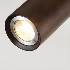 Wood beam multi head track ceiling spotlight close detail view 14
