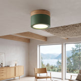 Green ceiling light with a wood band on a pale ceiling