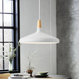 Wood and aluminum pendant light shown as a plain product view