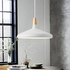Wood and aluminum pendant light shown as a plain product view