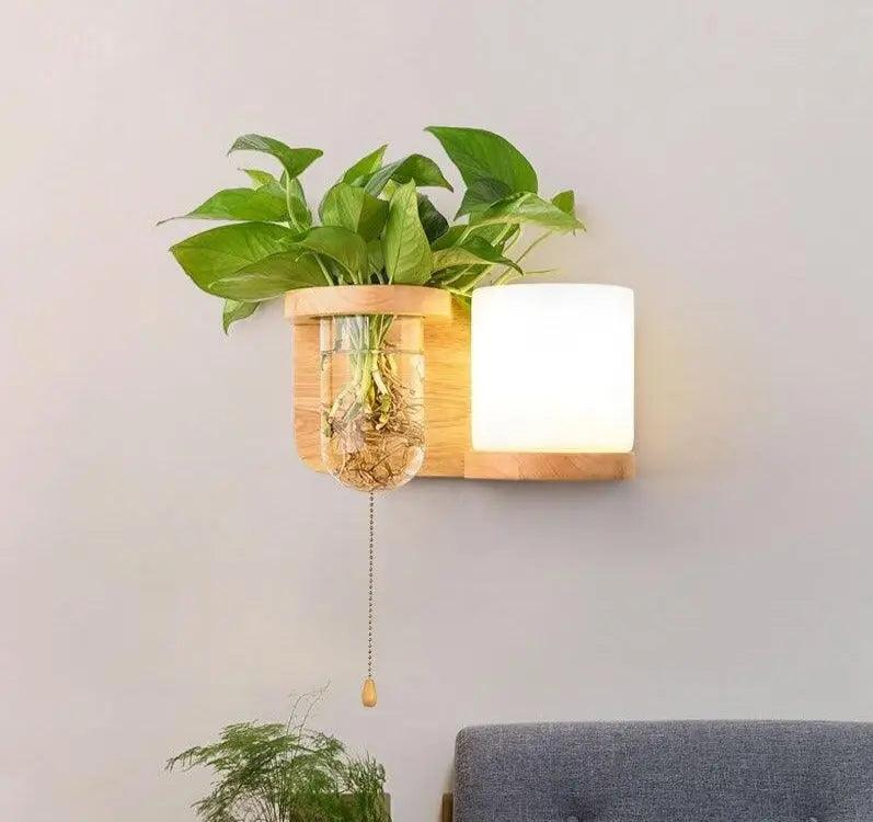 Wood sconce with a cylinder shade and trailing pothos cuttings