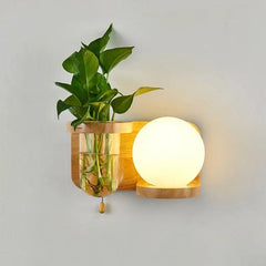 Wood sconce with a round glass globe on a plain grey wall